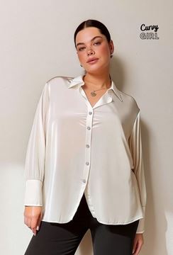 Picture of CURVY GIRL ELEGANT SATIN BLOUSE